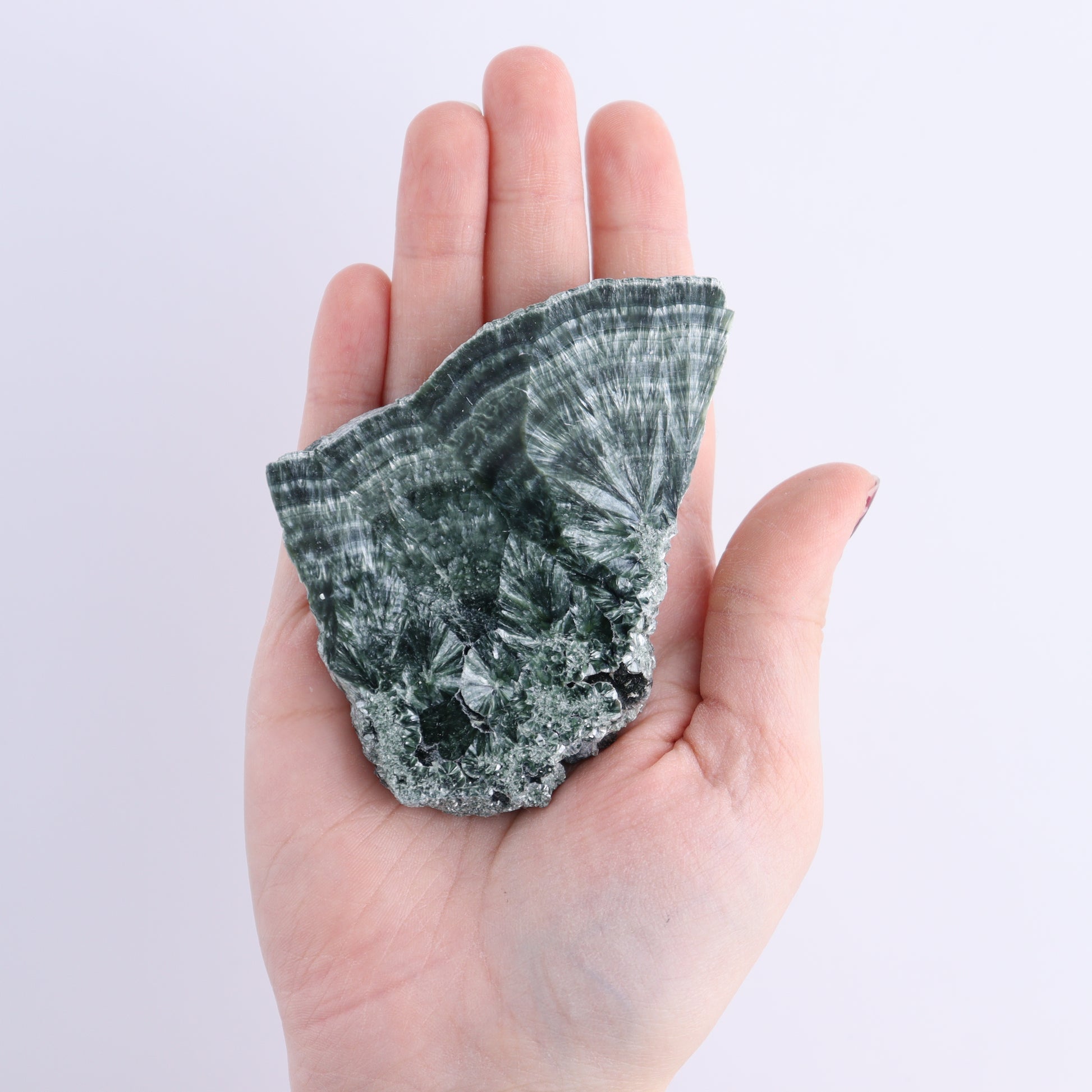 Seraphinite Slices Set of 6 - Expert Wholesale and Supplier of Wholesale Crystals & Bulk Gemstones, ["Russia","Seraphinite","Slices and Slabs"]