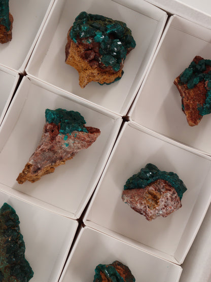 Dioptase Flat Set of 12