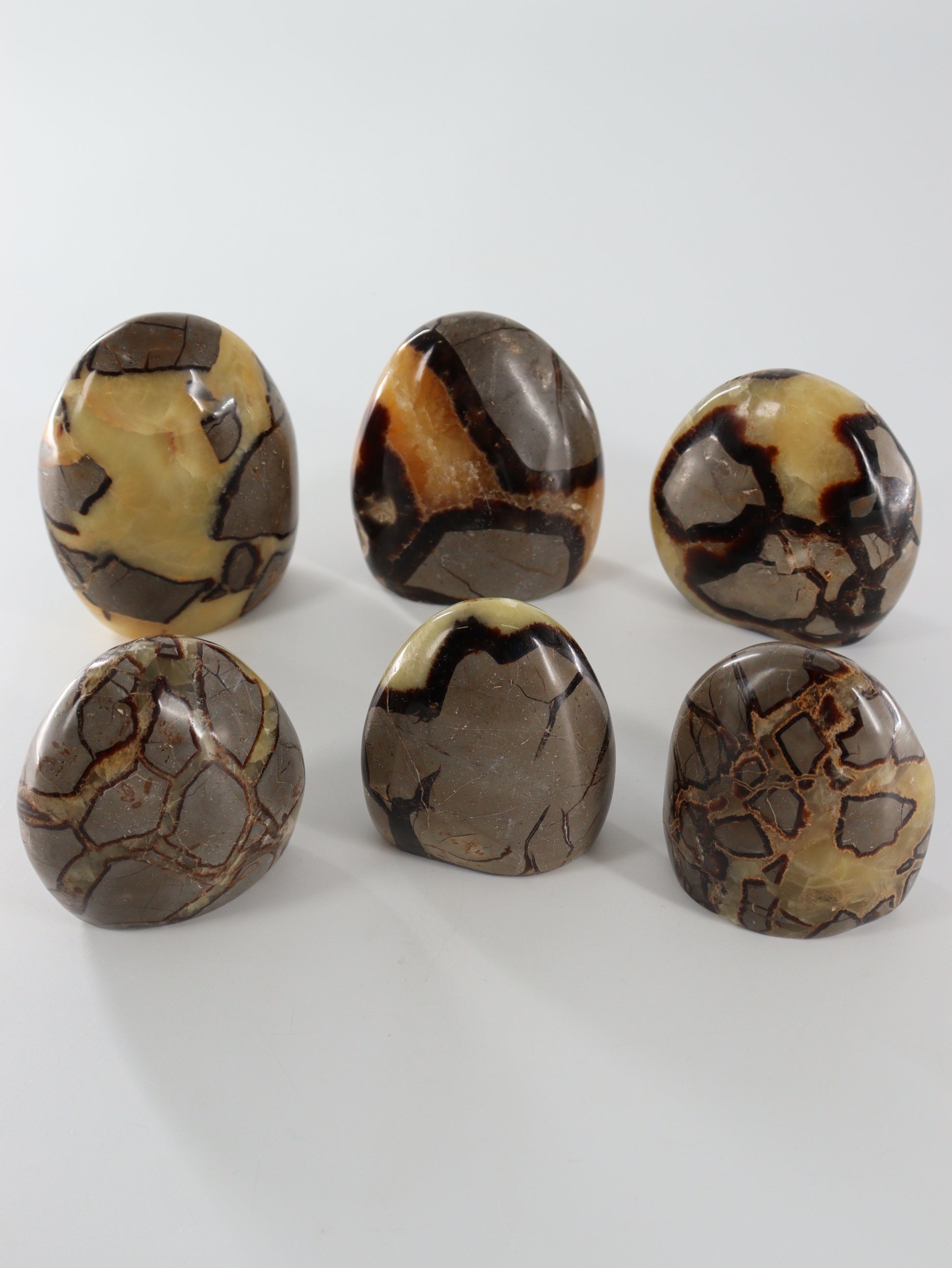 Septarian Freeforms Set of 6 - Expert Wholesale and Supplier of Wholesale Crystals & Bulk Gemstones, []
