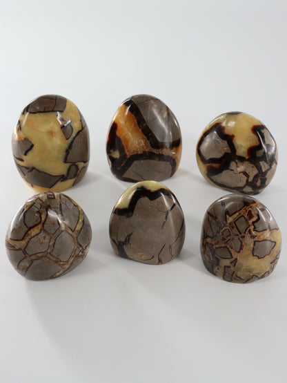 Septarian Freeforms Set of 6 - Expert Wholesale and Supplier of Wholesale Crystals & Bulk Gemstones, []
