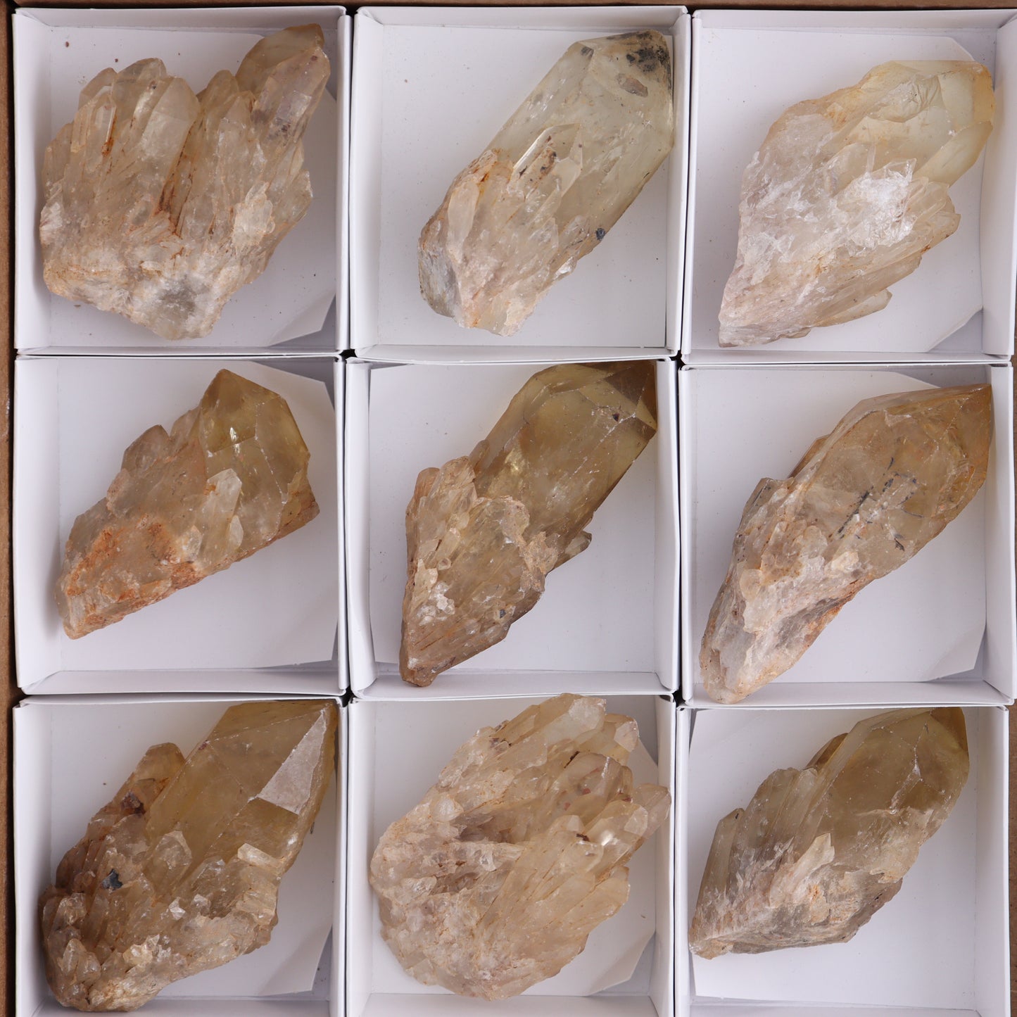 Congo Citrine Set of 12 - Expert Wholesale and Supplier of Wholesale Crystals & Bulk Gemstones, ["Citrine","Congo","Rough","Roughs"]