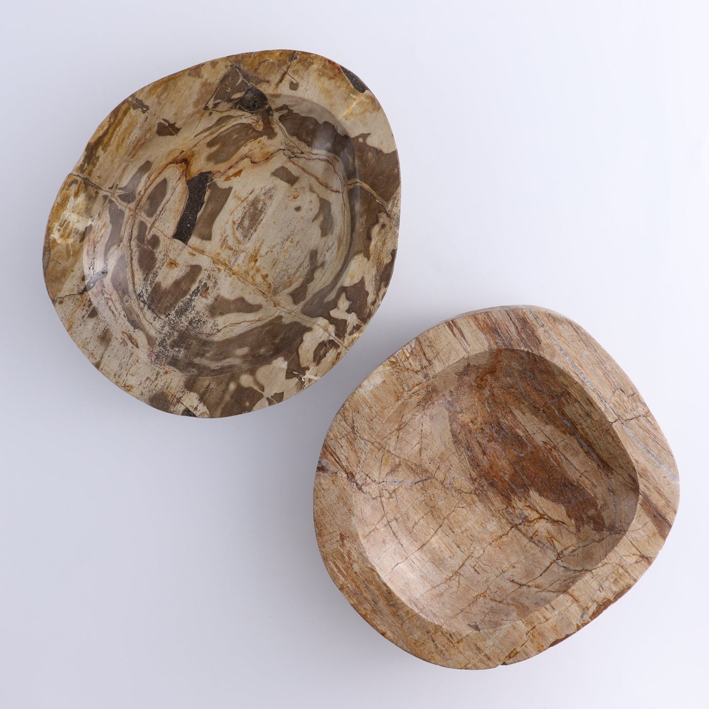 One Large Petrified Wood Brown Polished Bowl