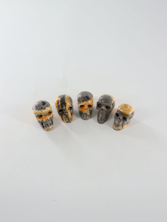 Bumblebee Jasper Skulls Set of 5 - Expert Wholesale and Supplier of Wholesale Crystals & Bulk Gemstones, []