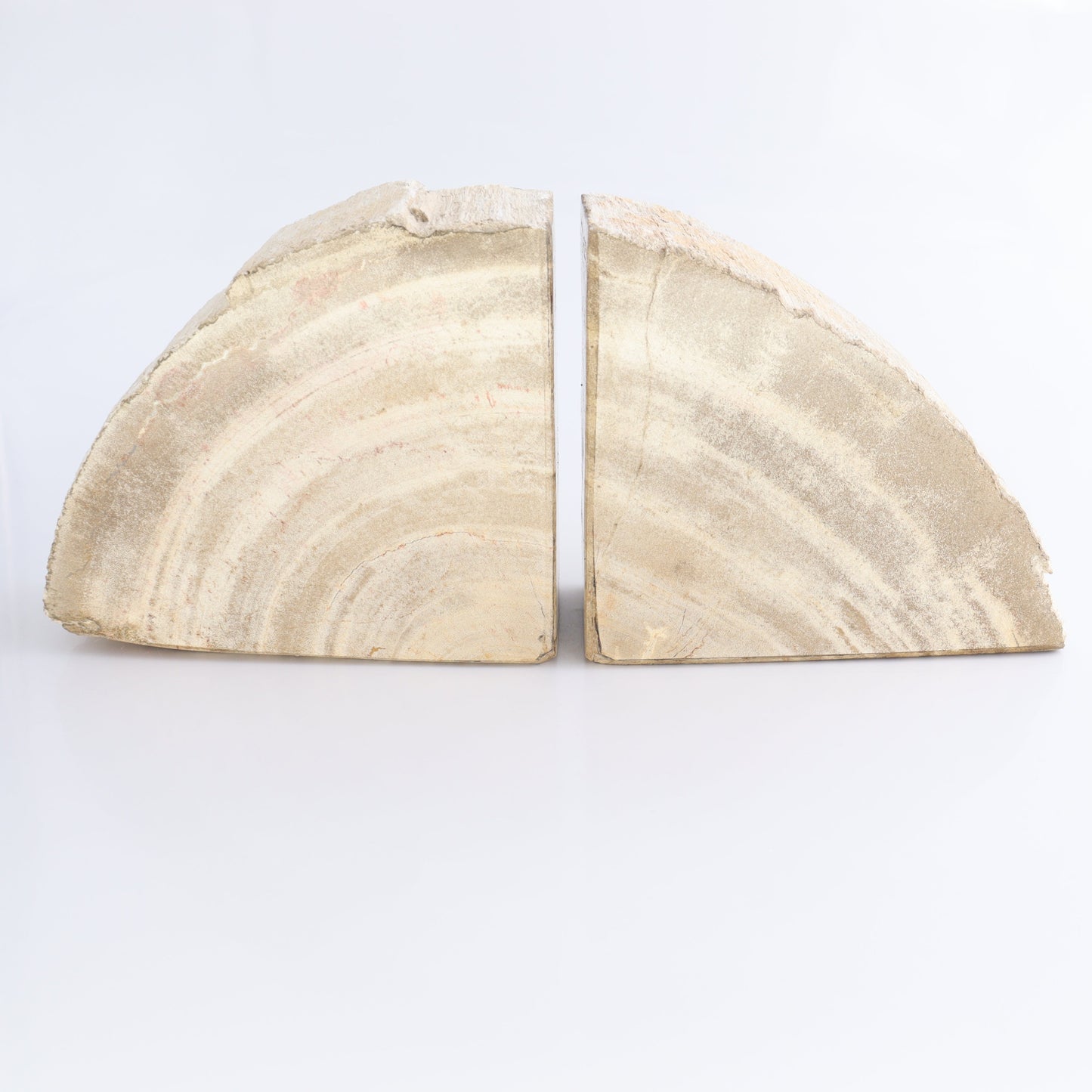 Bookends Petrified Wood - Expert Wholesale and Supplier of Wholesale Crystals & Bulk Gemstones, ["Bookends","Indonesia","Petrified Wood"]