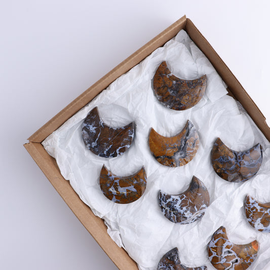 Brecciated Jasper Moons Set of 9 - Expert Wholesale and Supplier of Wholesale Crystals & Bulk Gemstones, ["Brecciated Jasper","Indonesia","moons"]