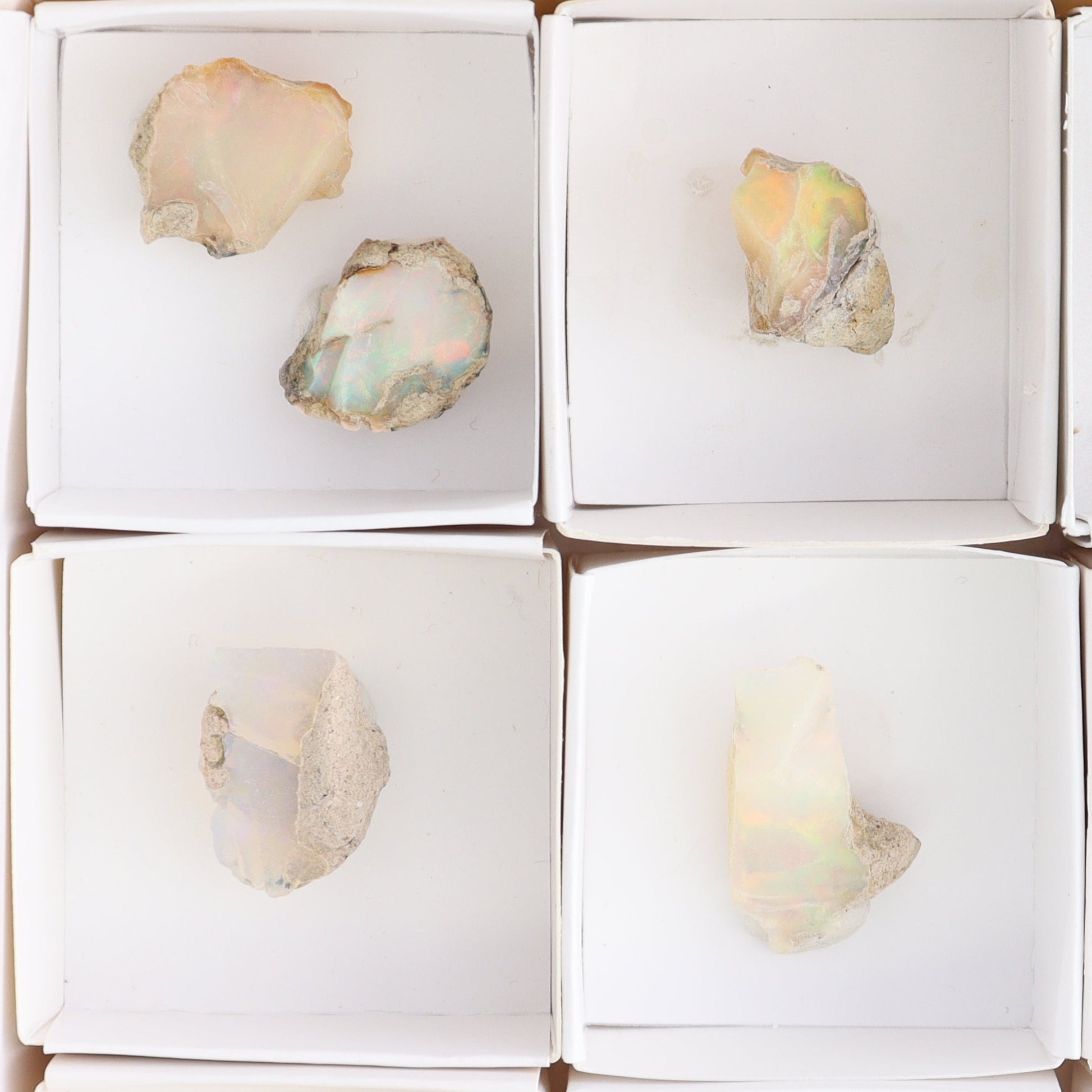 Ethiopian Opal Set of 10 - Expert Wholesale and Supplier of Wholesale Crystals & Bulk Gemstones, ["Ethiopia","ethiopian opal","Opal"]