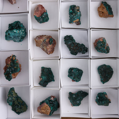 Dioptase Set of 19 - Expert Wholesale and Supplier of Wholesale Crystals & Bulk Gemstones, ["dioptase","Freeform","Freeforms"]