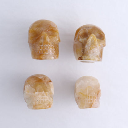 Golden Healer Skulls Set of 4