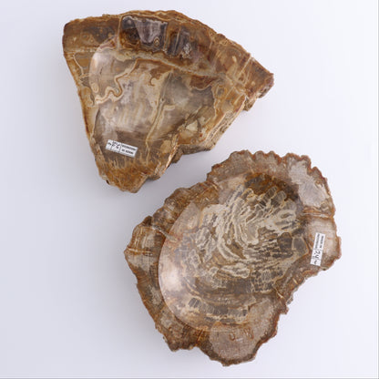Petrified Wood Bowls Set of 2 - Expert Wholesale and Supplier of Wholesale Crystals & Bulk Gemstones, ["Bowls","Indonesia","Petrified Wood"]