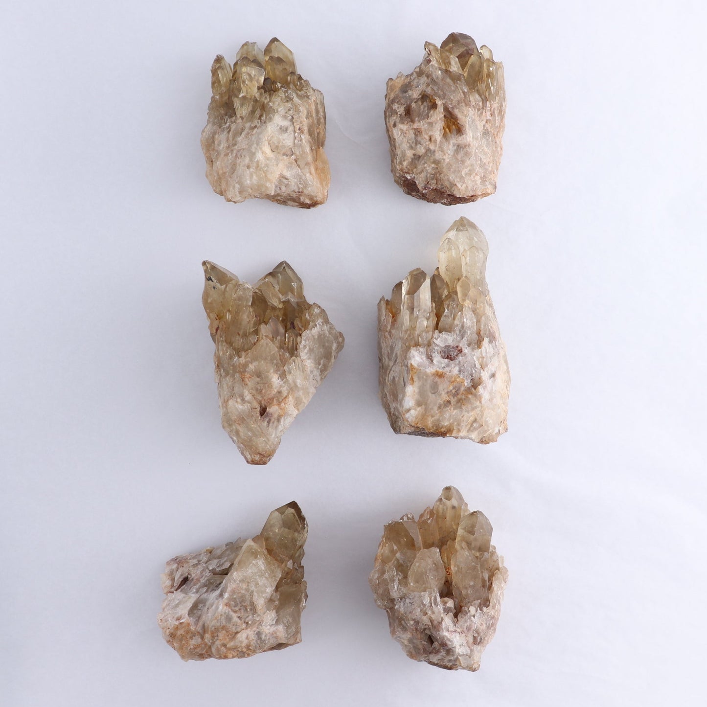 Congo Citrine Set of 6