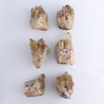 Congo Citrine Set of 6