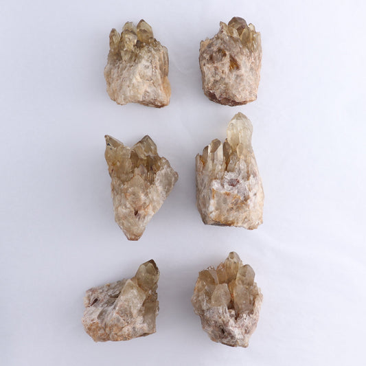 Congo Citrine Set of 6