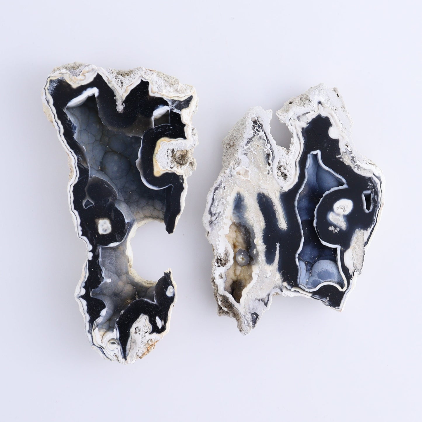 Agatized Coral Flat - Expert Wholesale and Supplier of Wholesale Crystals & Bulk Gemstones, ["Agate","Agatized Coral","Coral","United States"]