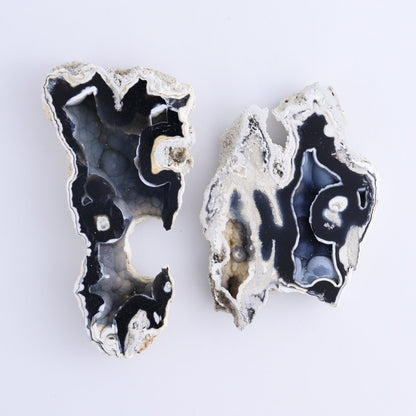 Agatized Coral Flat - Expert Wholesale and Supplier of Wholesale Crystals & Bulk Gemstones, ["Agate","Agatized Coral","Coral","United States"]