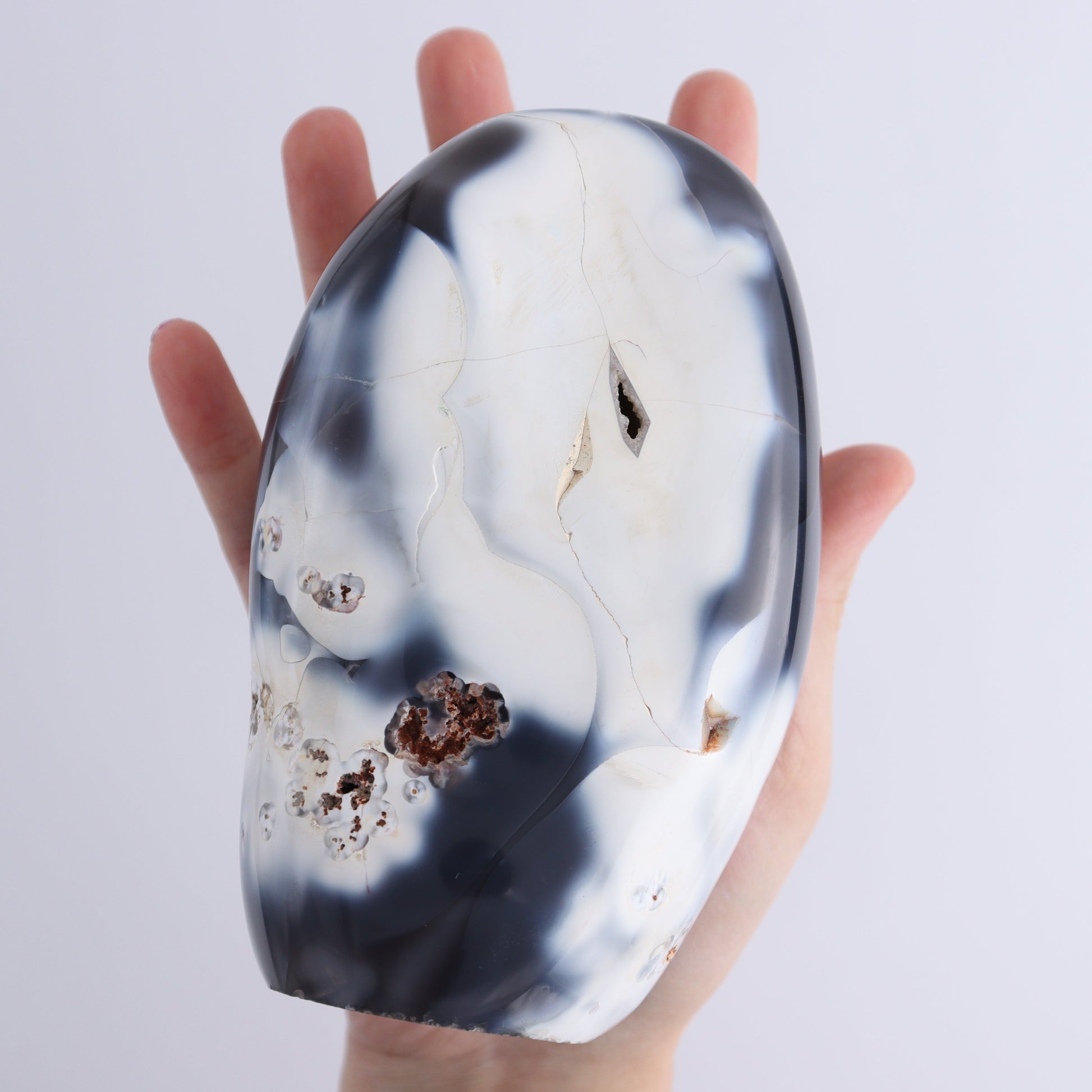 Orca Agate Freeform Set of 5 - Expert Wholesale and Supplier of Wholesale Crystals & Bulk Gemstones, ["Freeforms","Madagascar","Orca Agate"]