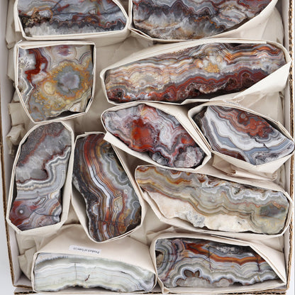 Crazy Lace Agate Flat of 13