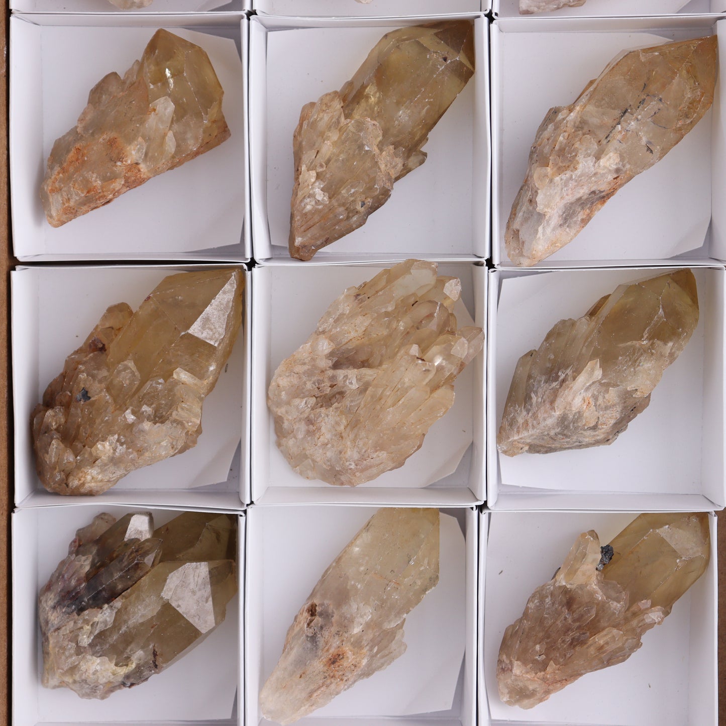 Congo Citrine Set of 12 - Expert Wholesale and Supplier of Wholesale Crystals & Bulk Gemstones, ["Citrine","Congo","Rough","Roughs"]