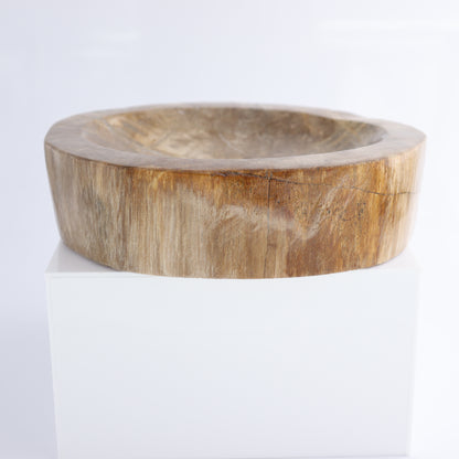 Bowl Petrified Wood - Expert Wholesale and Supplier of Wholesale Crystals & Bulk Gemstones, ["Bowls","Indonesia","Petrified Wood"]