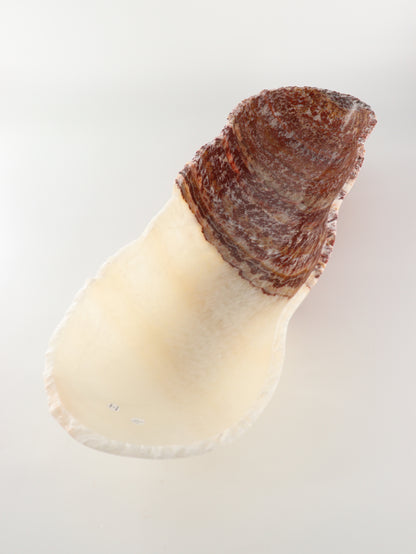 Onyx Canoe Bowl - Expert Wholesale and Supplier of Wholesale Crystals & Bulk Gemstones, []