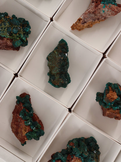 Dioptase Flat Set of 12