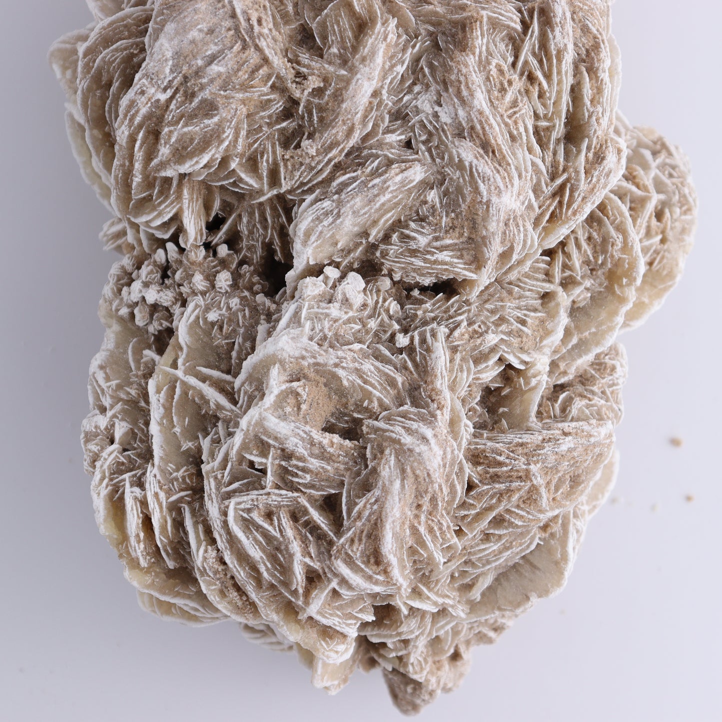 Desert Rose Cluster - Expert Wholesale and Supplier of Wholesale Crystals & Bulk Gemstones, ["Desert Rose","Freeforms"]