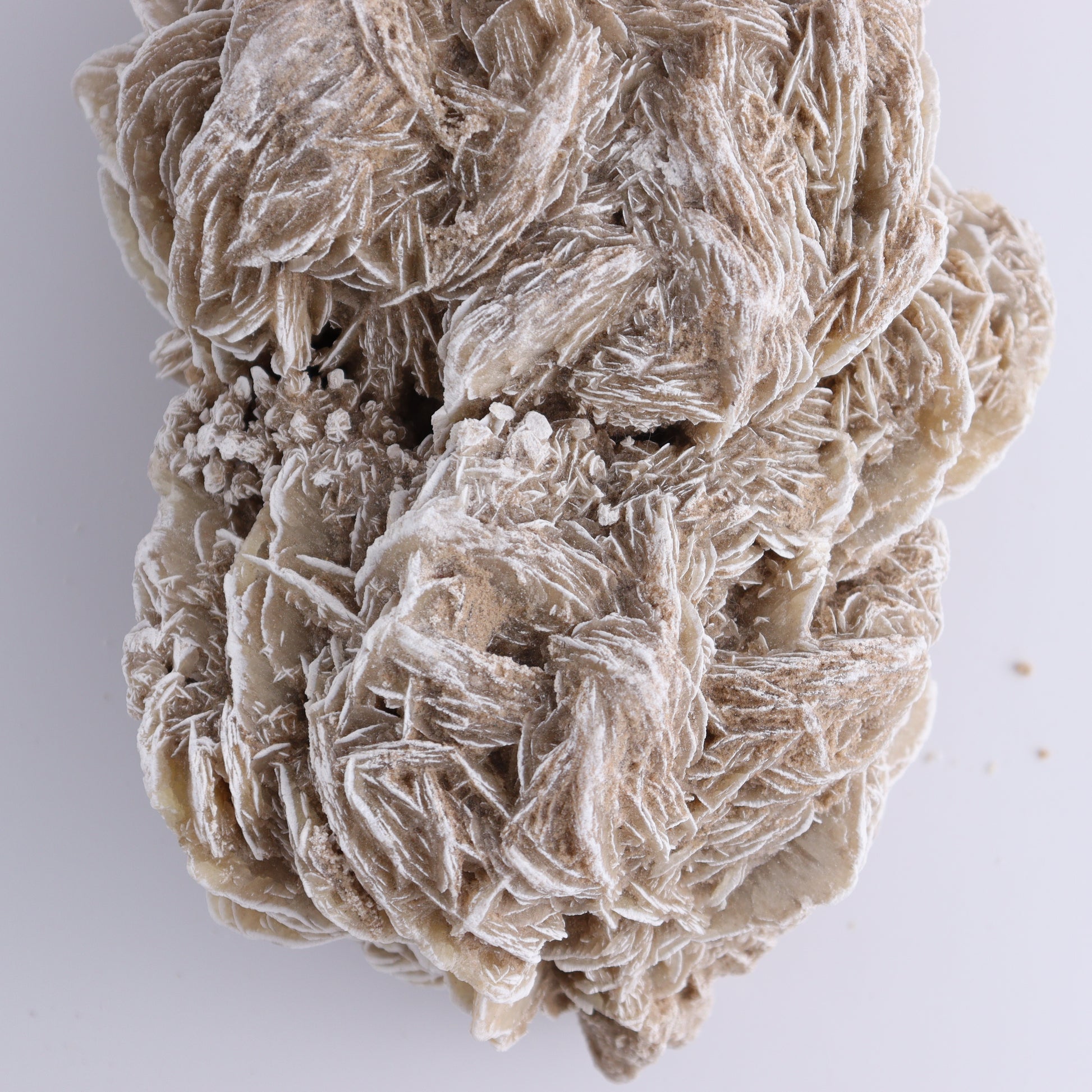 Desert Rose Cluster - Expert Wholesale and Supplier of Wholesale Crystals & Bulk Gemstones, ["Desert Rose","Freeforms"]
