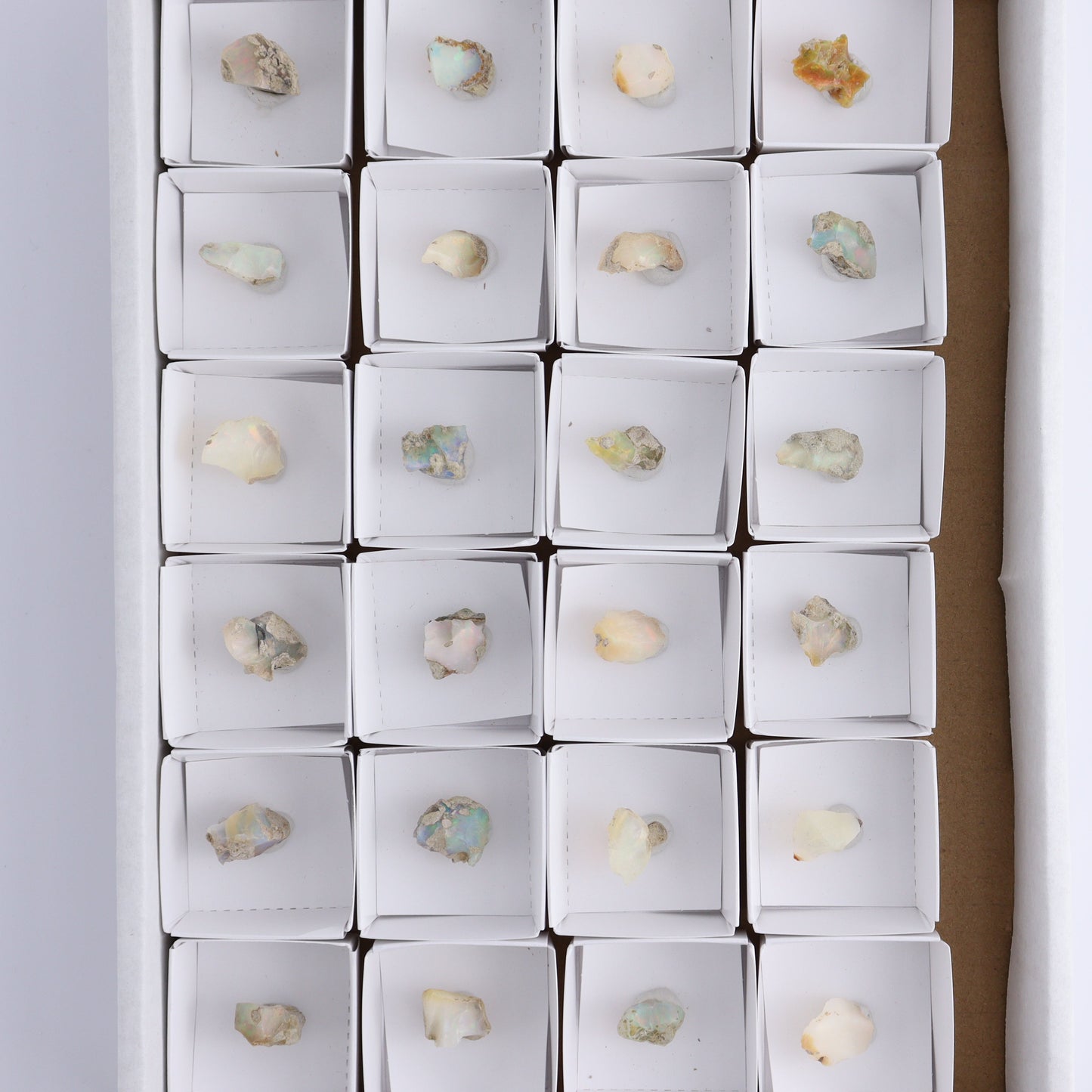 Ethiopian Opal Set of 24 - Expert Wholesale and Supplier of Wholesale Crystals & Bulk Gemstones, ["Ethiopia","ethiopian opal","Opal"]