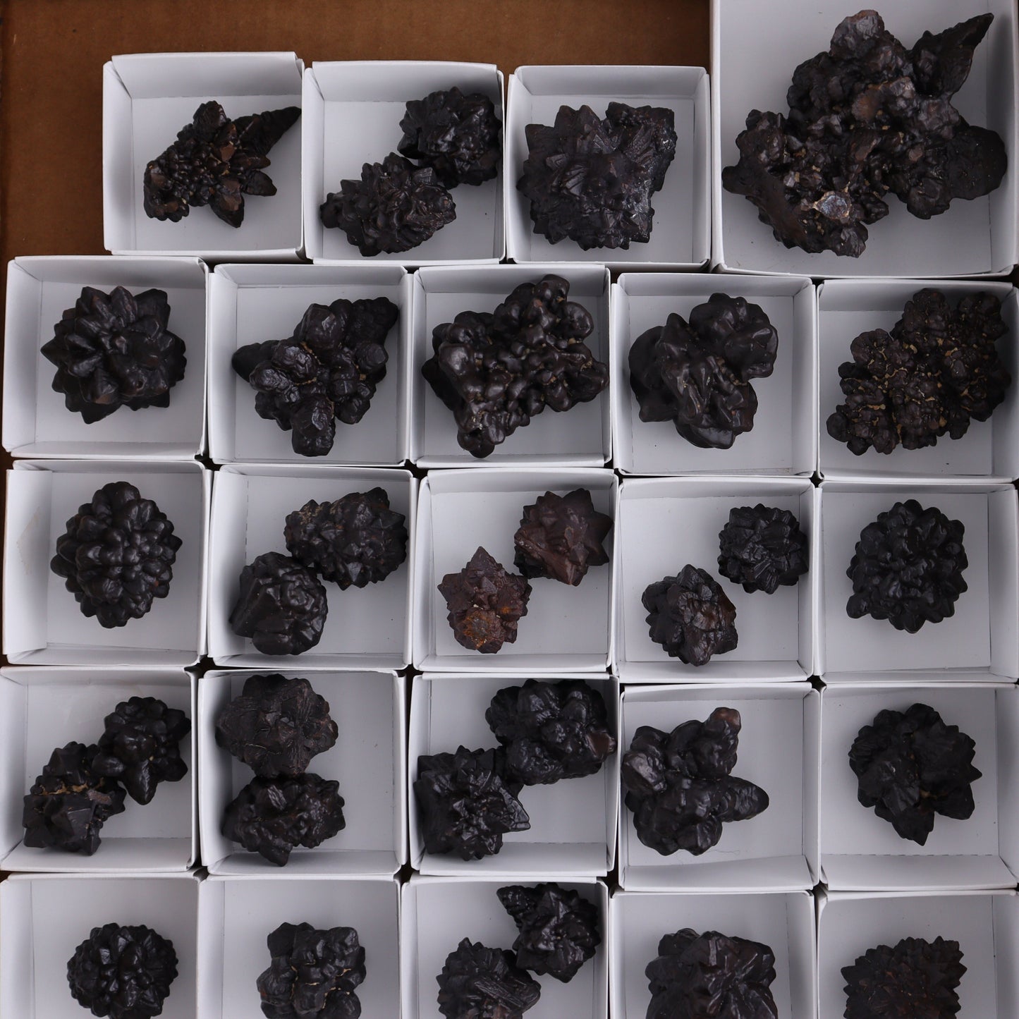Egyptian Prophecy Stones Flat - Expert Wholesale and Supplier of Wholesale Crystals & Bulk Gemstones, ["Egypt","Freeforms","Prophecy Stone"]