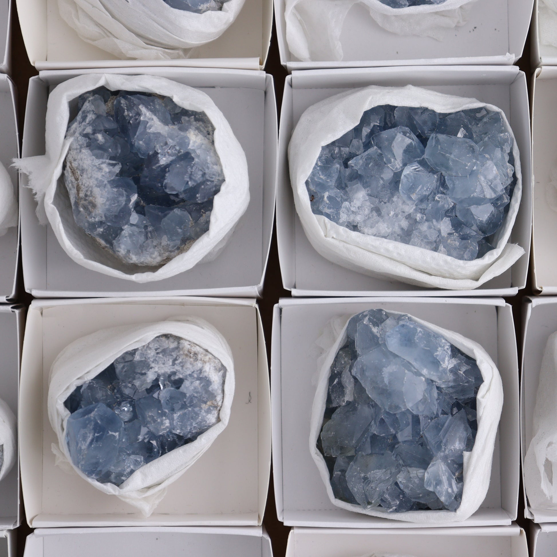 Celestite Cluster of 24 - Expert Wholesale and Supplier of Wholesale Crystals & Bulk Gemstones, ["Celestite","Clusters","Freeform","Madagascar"]