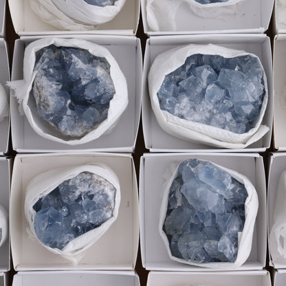 Celestite Cluster of 24 - Expert Wholesale and Supplier of Wholesale Crystals & Bulk Gemstones, ["Celestite","Clusters","Freeform","Madagascar"]