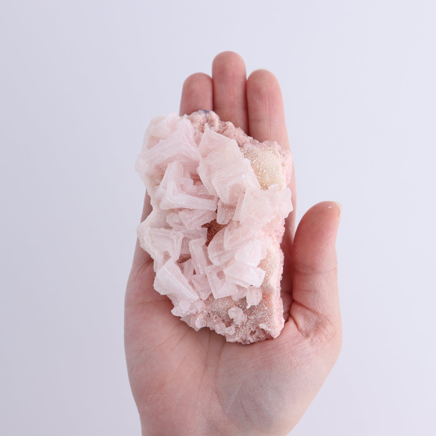 Searles Lake Halite Flat of 6 - Expert Wholesale and Supplier of Wholesale Crystals & Bulk Gemstones, ["Flats","Halite","United States"]