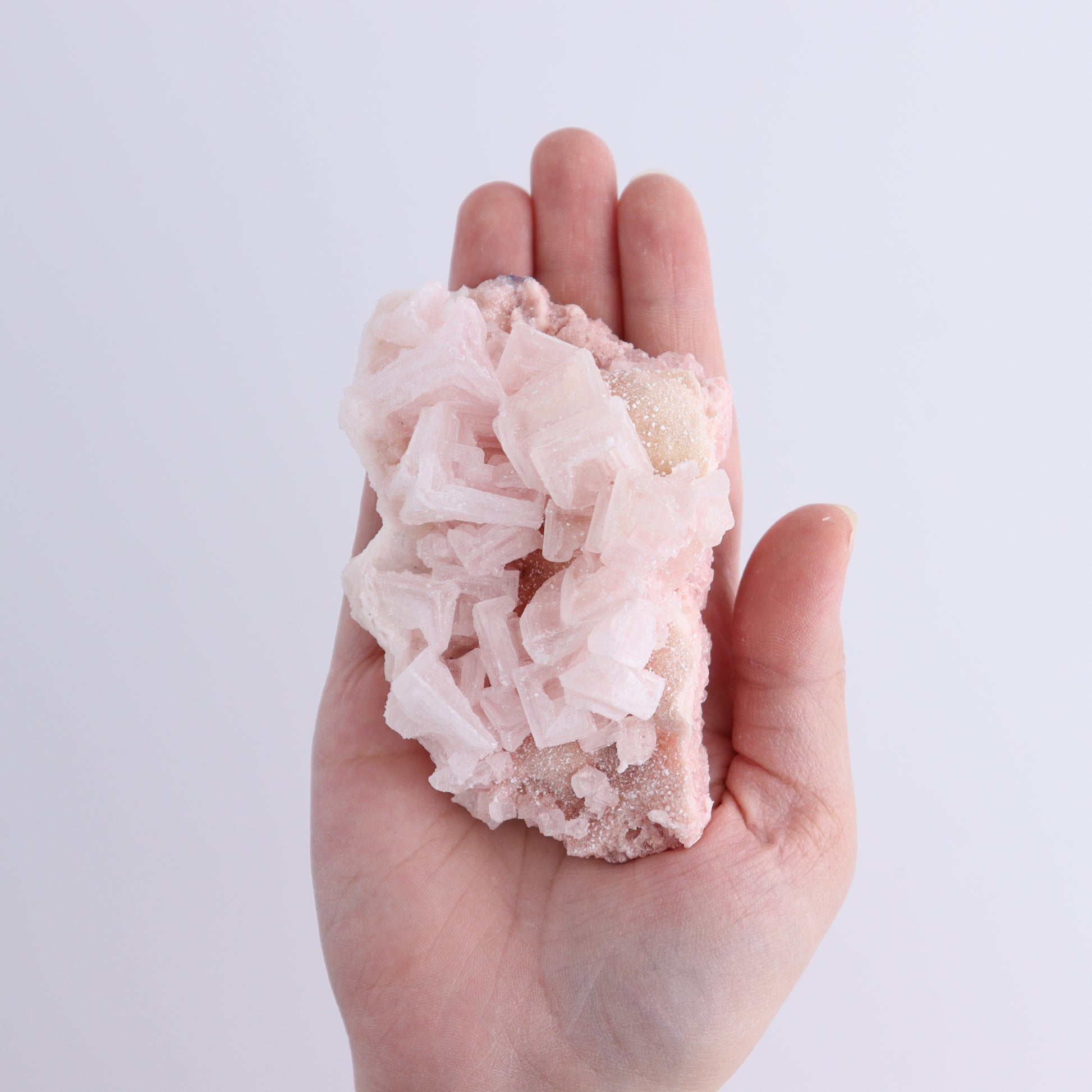 Searles Lake Halite Flat of 6 - Expert Wholesale and Supplier of Wholesale Crystals & Bulk Gemstones, ["Flats","Halite","United States"]