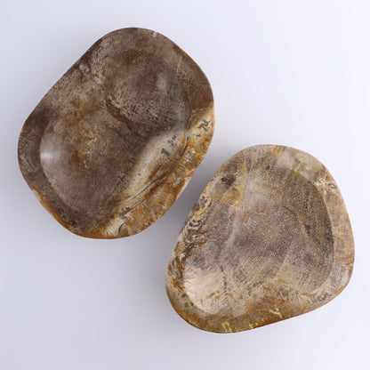 One Large Petrified Wood Brown Polished Bowl