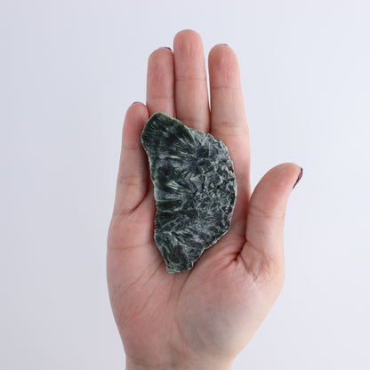 Seraphinite Slices Set of 12 - Expert Wholesale and Supplier of Wholesale Crystals & Bulk Gemstones, ["Seraphinite","Slices and Slabs"]