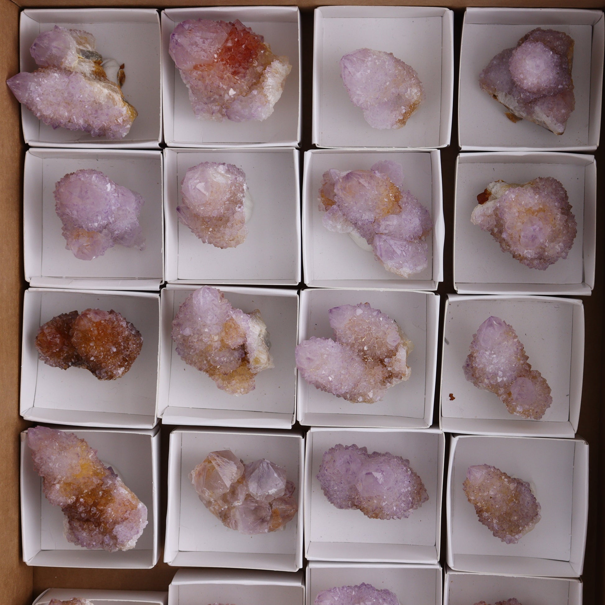 Cactus Quartz Set of 20 - Expert Wholesale and Supplier of Wholesale Crystals & Bulk Gemstones, ["cactus quartz","Quartz","South Africa"]