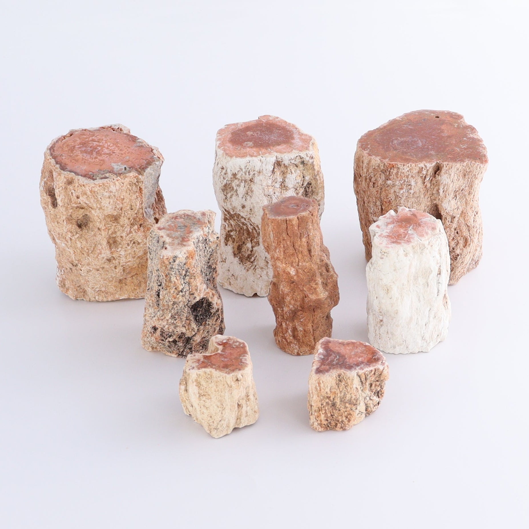 Petrified Wood Cut Bases Set of 8 - Expert Wholesale and Supplier of Wholesale Crystals & Bulk Gemstones, ["Cut Base","Petrified Wood"]