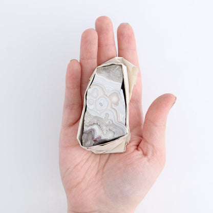 Crazy Lace Agate Flat of 13