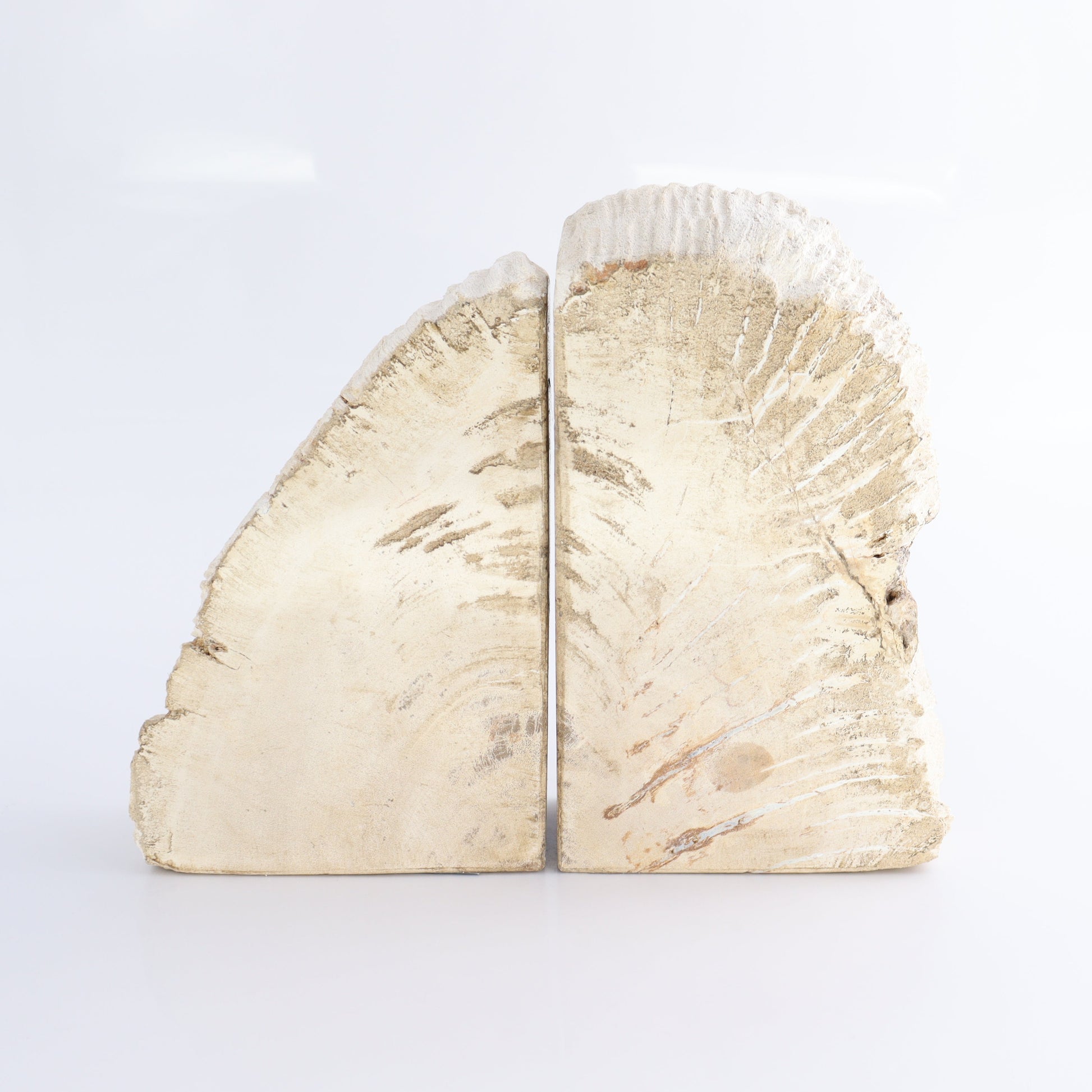 Bookends Petrified Wood - Expert Wholesale and Supplier of Wholesale Crystals & Bulk Gemstones, ["Bookends","Indonesia","Petrified Wood"]