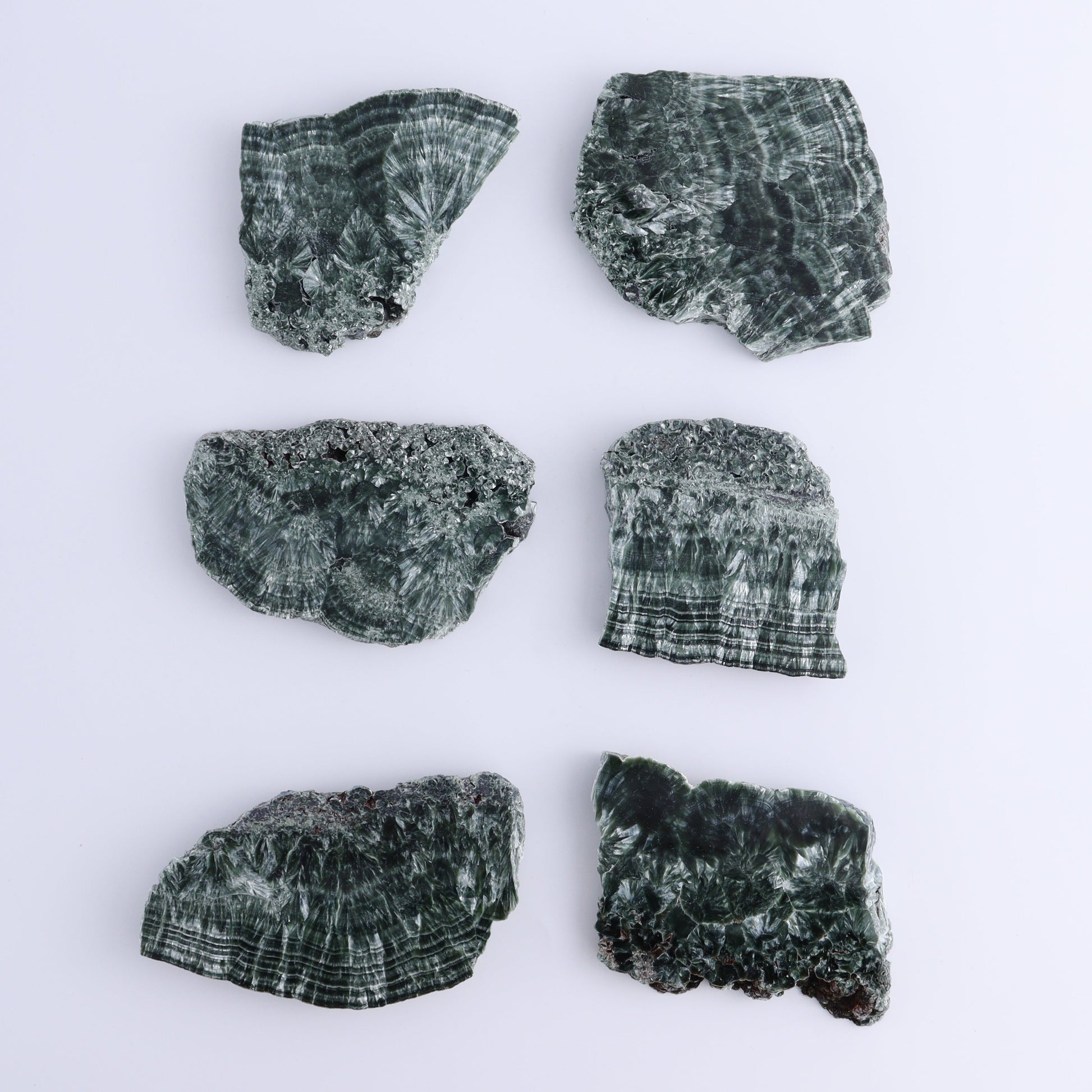 Seraphinite Slices Set of 6 - Expert Wholesale and Supplier of Wholesale Crystals & Bulk Gemstones, ["Russia","Seraphinite","Slices and Slabs"]