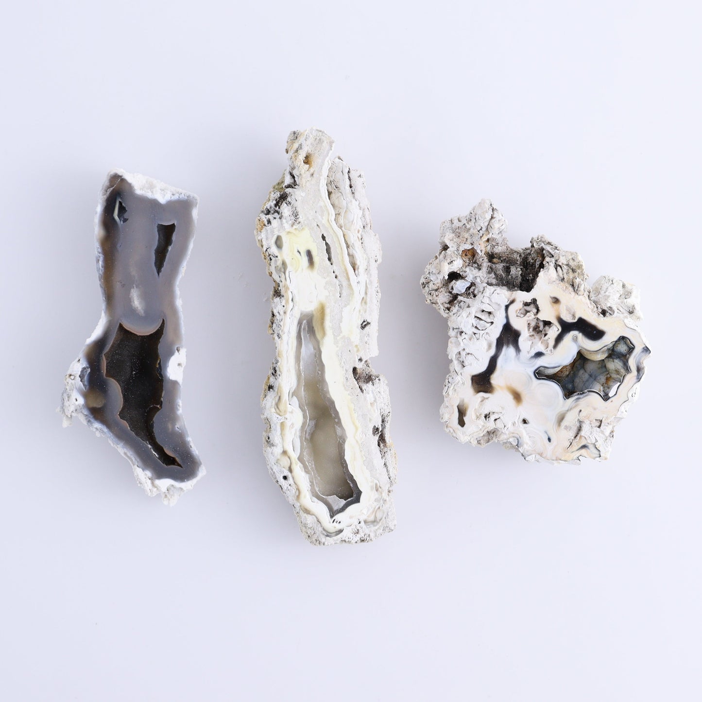 Agatized Coral Flat - Expert Wholesale and Supplier of Wholesale Crystals & Bulk Gemstones, ["Agate","Agatized Coral","Coral","United States"]