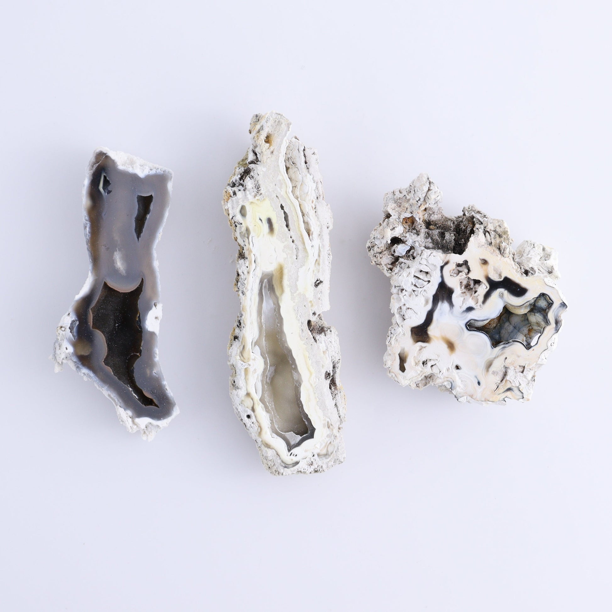 Agatized Coral Flat - Expert Wholesale and Supplier of Wholesale Crystals & Bulk Gemstones, ["Agate","Agatized Coral","Coral","United States"]