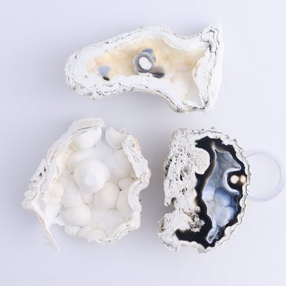 Agatized Coral Flat - Expert Wholesale and Supplier of Wholesale Crystals & Bulk Gemstones, ["Agate","Agatized Coral","Coral","United States"]