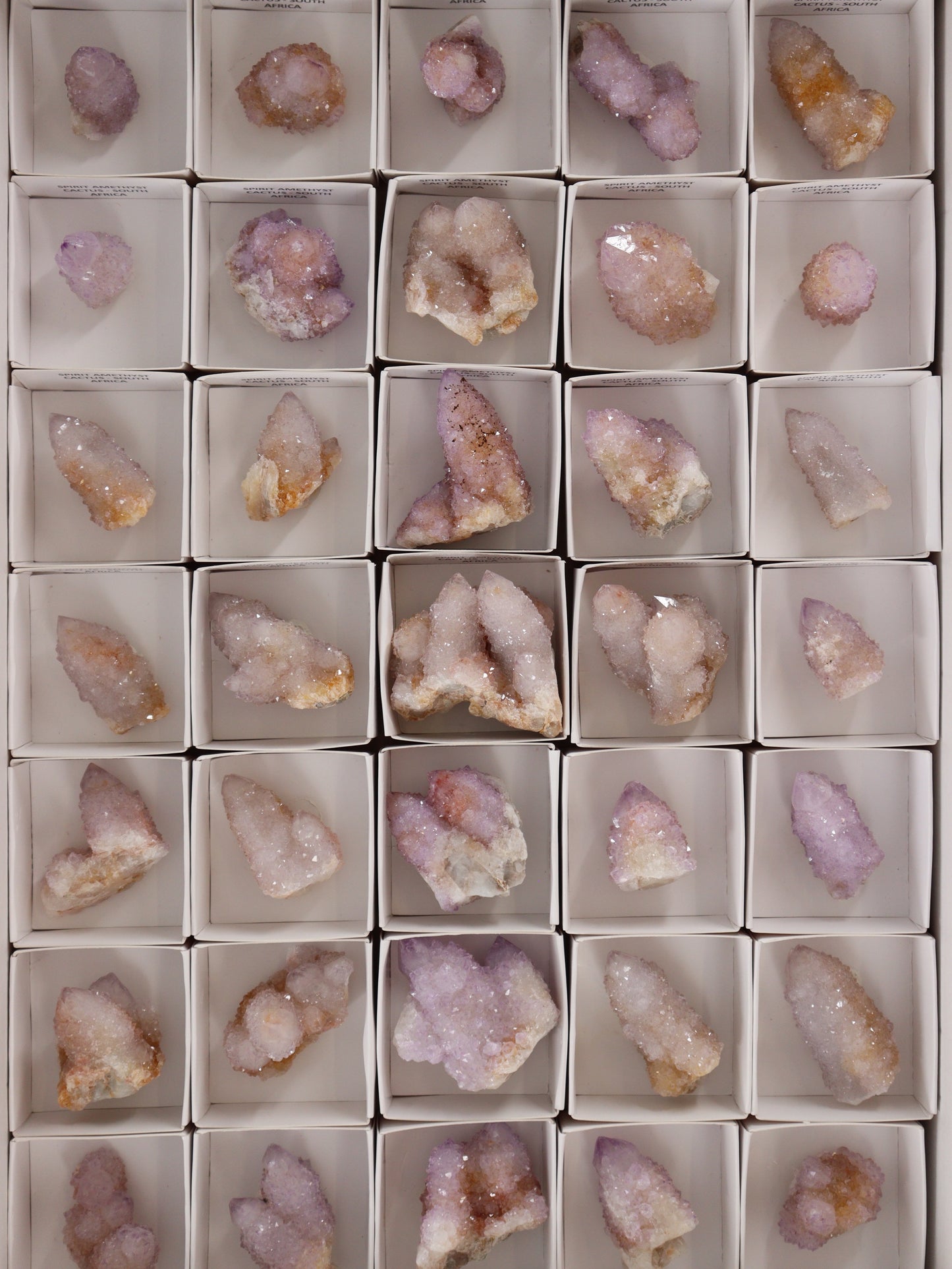 Spirit Amethyst Cactus Flat Set of 35