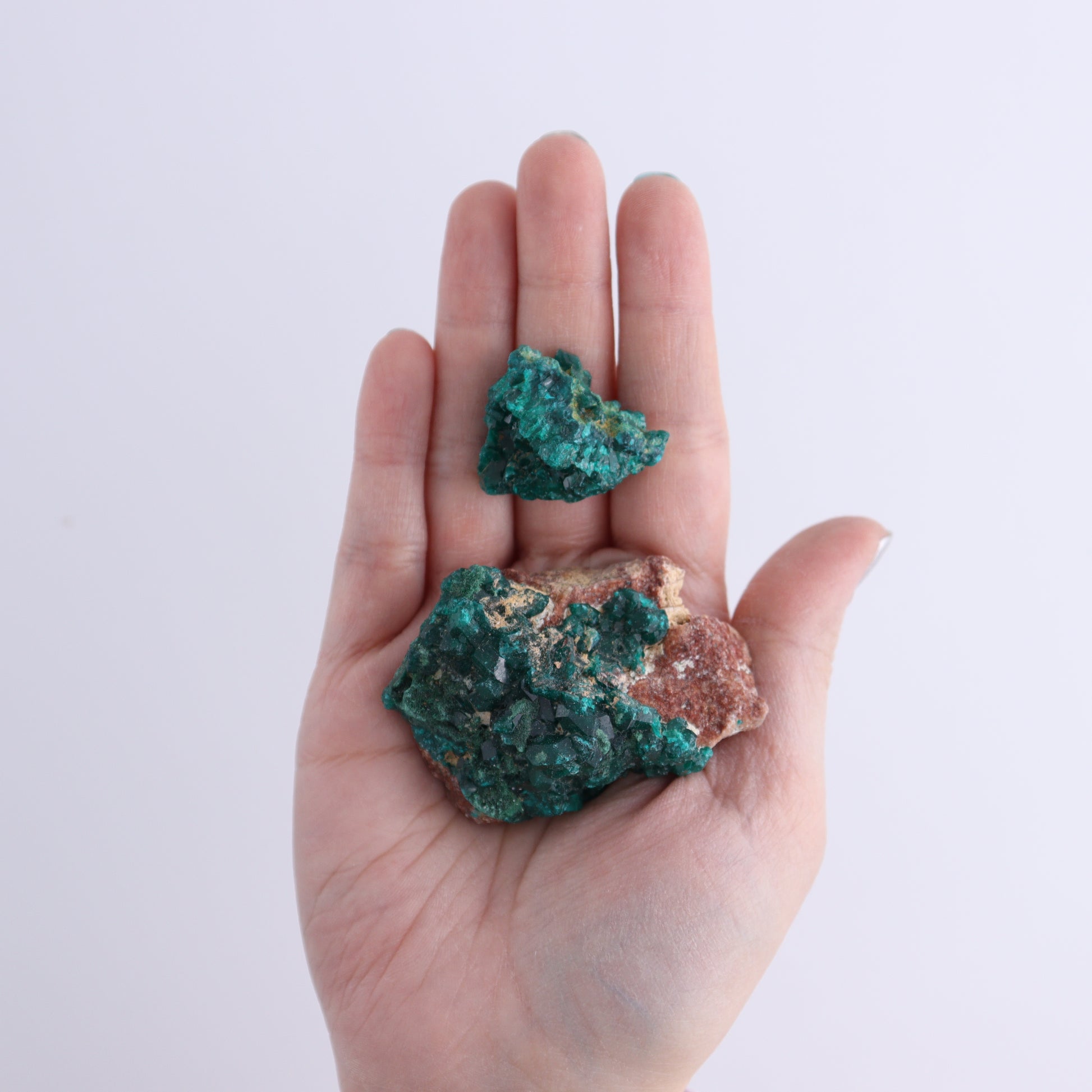 Dioptase Set of 19 - Expert Wholesale and Supplier of Wholesale Crystals & Bulk Gemstones, ["dioptase","Freeform","Freeforms"]