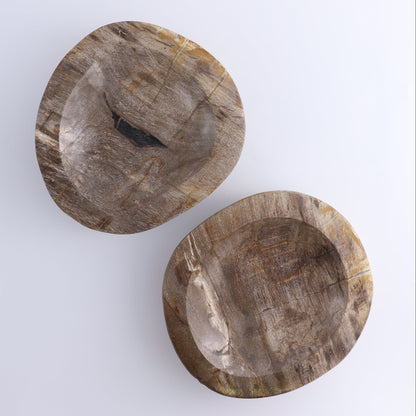One Large Petrified Wood Brown Polished Bowl
