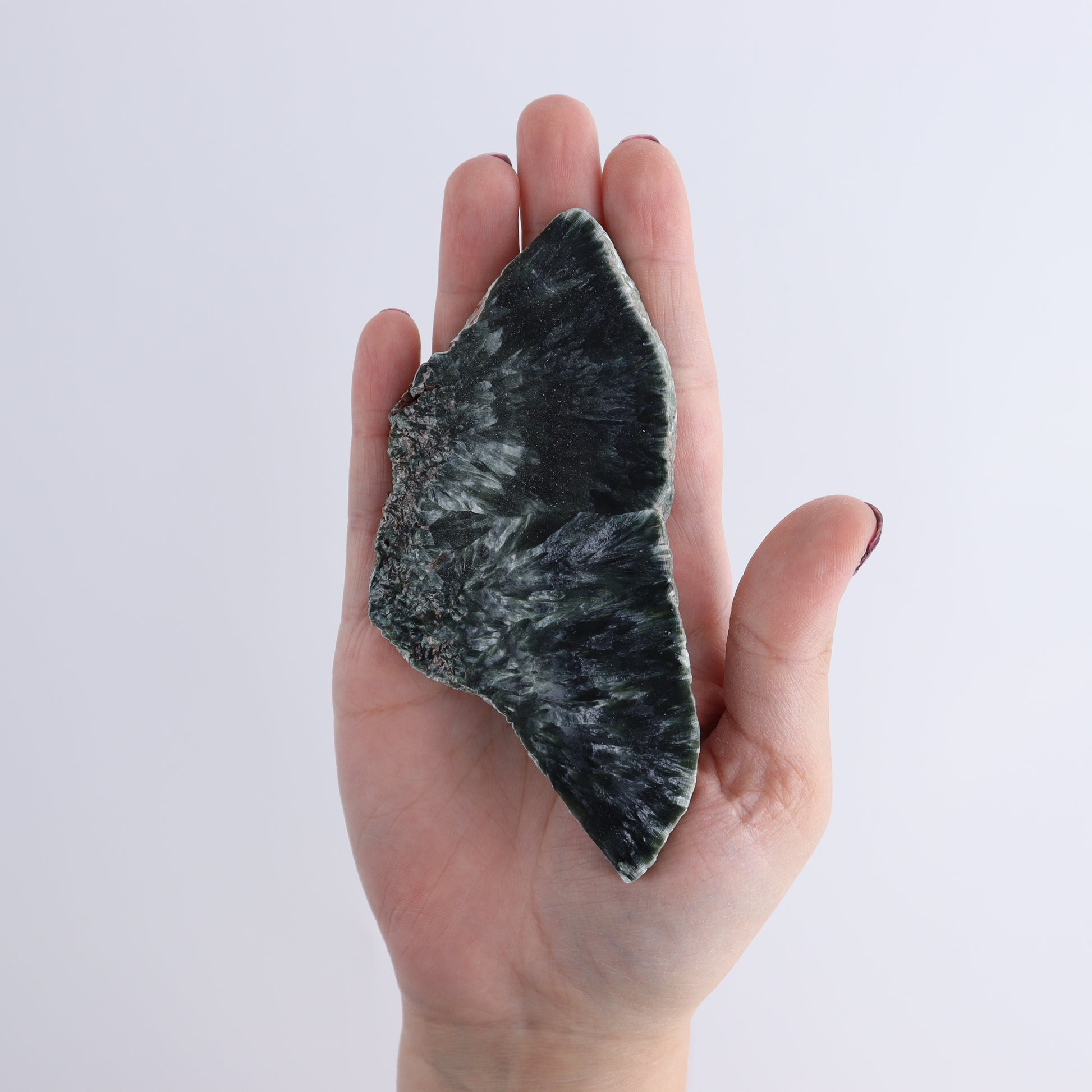 Seraphinite Slices Set of 12 - Expert Wholesale and Supplier of Wholesale Crystals & Bulk Gemstones, ["Seraphinite","Slices and Slabs"]