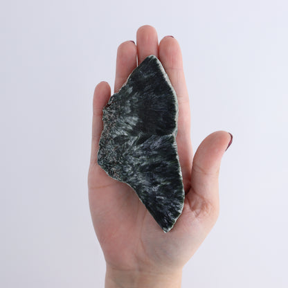 Seraphinite Slices Set of 12 - Expert Wholesale and Supplier of Wholesale Crystals & Bulk Gemstones, ["Seraphinite","Slices and Slabs"]