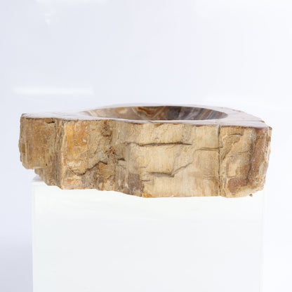 Petrified Wood Bowls Set of 2 - Expert Wholesale and Supplier of Wholesale Crystals & Bulk Gemstones, ["Bowls","Indonesia","Petrified Wood"]