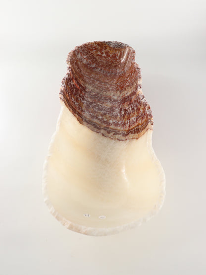 Onyx Canoe Bowl - Expert Wholesale and Supplier of Wholesale Crystals & Bulk Gemstones, []