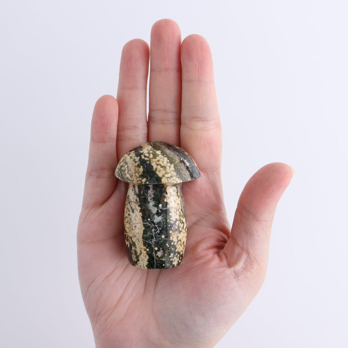 Jasper Mushrooms Set of 8